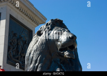 Einer der vier bronzenen Löwen-Statuen von Landseer am Fuße des Nelson Säule, Trafalgar Square, London Stockfoto