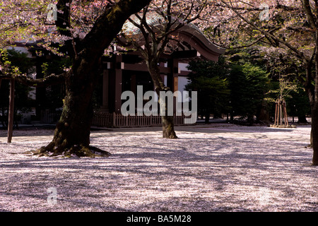 Fröhlichen Bäume Garten am Yasukuni-Schrein Stockfoto