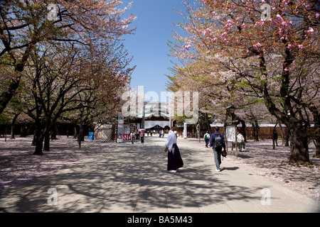 Yasukuni Jinja in Tokio im Kirschblüte Stockfoto