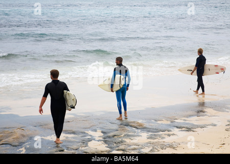 Surfer.  Margaret River, Western Australia, Australien Stockfoto