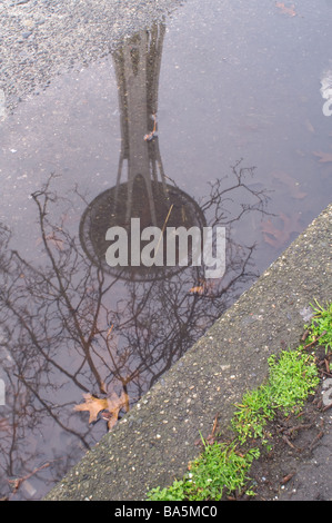 Die Space Needle in Seattle spiegelt sich in einer Lache des Wassers auf der Straße. Stockfoto