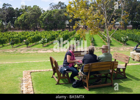 Laurance Weine Weinberg am Wilyabrup, in der berühmten Weinregion Margaret River, Western Australia, Australien Stockfoto