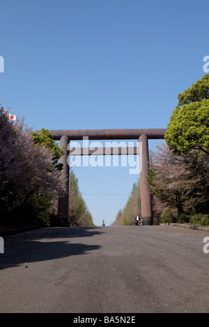 Yasukuni Jinja in Tokio im Kirschblüte Stockfoto