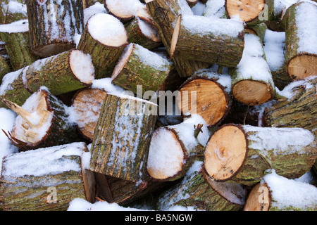 Protokolle / Brennholz mit Schnee bedeckt Stockfoto