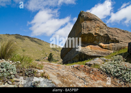 Gefallenen Felsen am Berghang in den Drakensbergen, KwaZulu Natal, Südafrika. Stockfoto