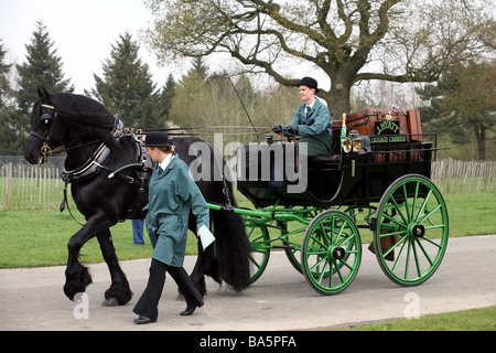 Mann an der Spitze eines braunen Hengstes ziehen einen Wagen bei der London Kabelbaum Pferdeparade Stockfoto