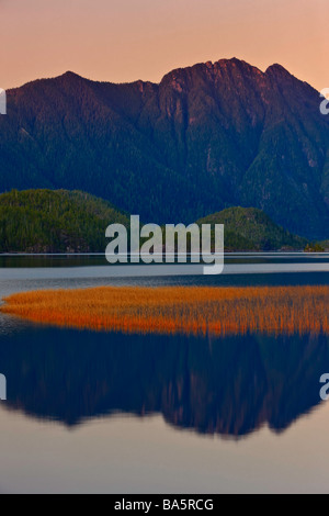 Berg-Reflexionen über den Clayoquot Arm Kennedy Lake einen Übergangsbereich im Clayoquot Sound UNESCO Biosphären-Reservat. Stockfoto