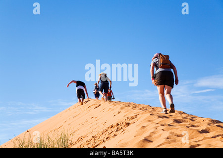 Klettern Big Red - einer Sanddüne in der Simpson Desert National Park, in der Nähe von Birdsville, Queensland, Australien Stockfoto