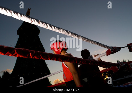 Boxer in einer öffentlichen Ausstellung in Cancun Mexiko Stockfoto