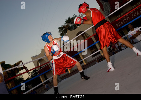 Boxer in einer öffentlichen Ausstellung in Cancun Mexiko Stockfoto