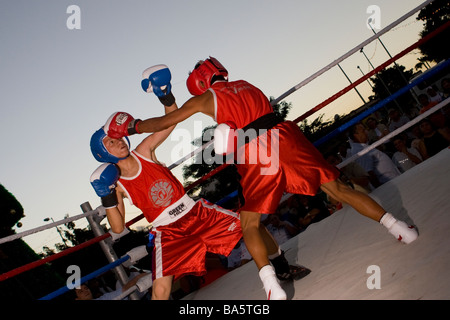 Boxer in einer öffentlichen Ausstellung in Cancun Mexiko Stockfoto