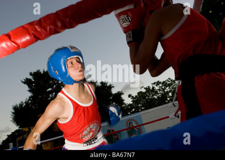 Boxer in einer öffentlichen Ausstellung in Cancun Mexiko Stockfoto