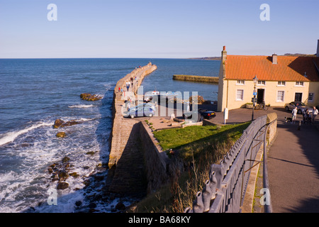 St Andrews Hafen von oben in Fife Schottland Stockfoto