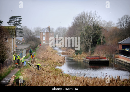 EINE WORK-PARTY AUS DEN COTSWOLD-KANÄLEN VERTRAUEN CLEARING BÄUME AUS DEM LEINPFAD IN STONEHOUSE ALS TEIL DER WIEDERHERSTELLUNG FUNKTIONIERT AUF T Stockfoto