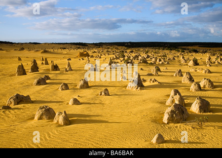 Morgenlicht auf den Pinnacles Desert im Nambung National Park.  Cervantes, Western Australia, Australien Stockfoto