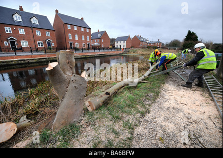 EINE WORK-PARTY AUS DEN COTSWOLD-KANÄLEN VERTRAUEN CLEARING BÄUME AUS DEM LEINPFAD IN STONEHOUSE ALS TEIL DER WIEDERHERSTELLUNG FUNKTIONIERT AUF T Stockfoto