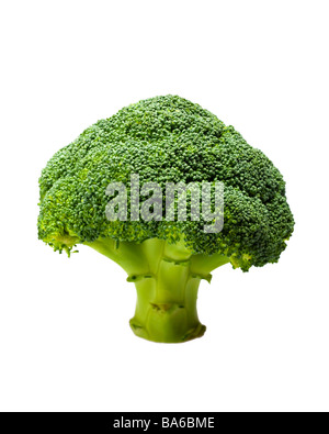 Nahaufnahme der isolierten Brokkoli auf weiß Stockfoto
