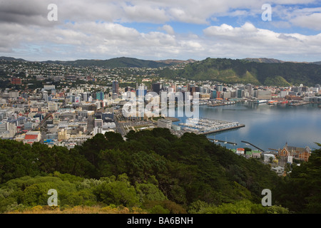 Wellington vom Mount Victoria Nordinsel Neuseeland Stockfoto