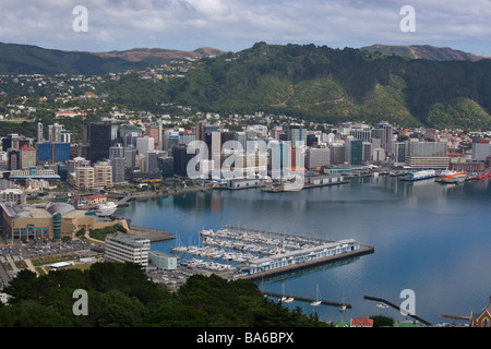 Wellington vom Mount Victoria Nordinsel Neuseeland Stockfoto