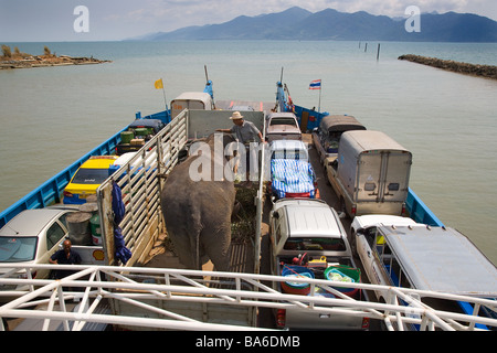 Der indische Elefant wird in einem offenen Lastwagen nach Kohlchang Island Thailand gebracht Stockfoto