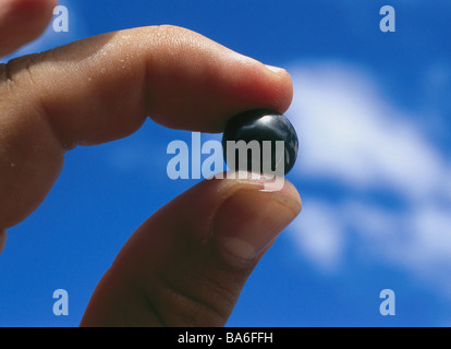 Französisch-Polynesien Perle-Zucht Detail Finger Hand hält schwarze Tahiti-Perle "Fanny Rava" Himmel Südsee Ozeanien Wirtschaft Stockfoto