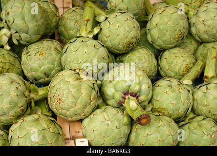 Artischocken auf einem Marktstand angezeigt. Stockfoto