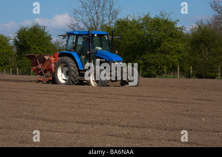 Pflanzen von Kartoffeln mit einem New Holland TS90 4WD Traktor UK Stockfoto