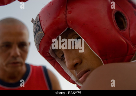 Boxer in einer öffentlichen Ausstellung in Cancun Mexiko Stockfoto