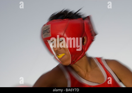 Boxer in einer öffentlichen Ausstellung in Cancun Mexiko Stockfoto