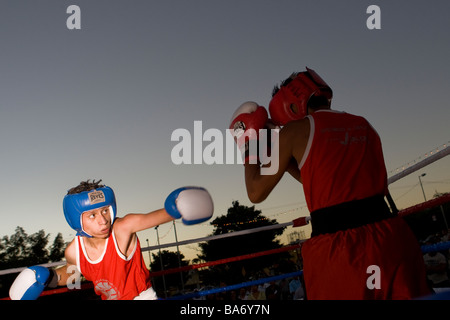 Boxer in einer öffentlichen Ausstellung in Cancun Mexiko Stockfoto