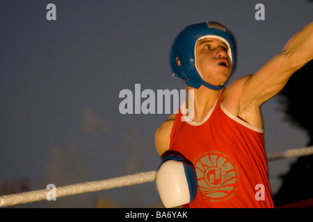 Boxer in einer öffentlichen Ausstellung in Cancun Mexiko Stockfoto