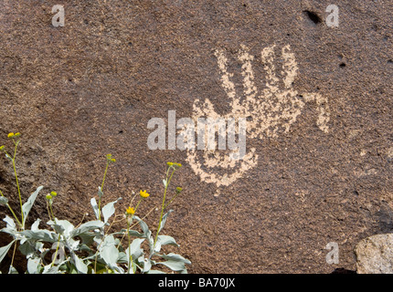 Eine alte Hohokum Indian Petroglyph eines umgekehrten Dickhornschaf vielleicht dies stellte eine erfolgreiche Jagd diese Kunst ist Loca Stockfoto