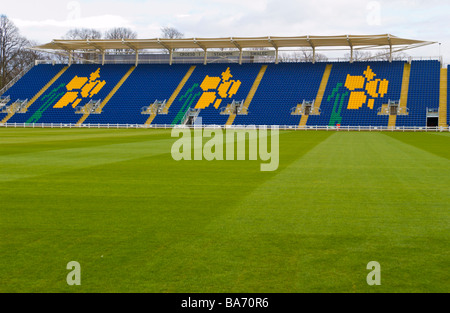 SWALEC Stadion Glamorgan Cricket ground Sophia Gärten Cardiff South Wales UK Tribüne mit Narzissen-logo Stockfoto