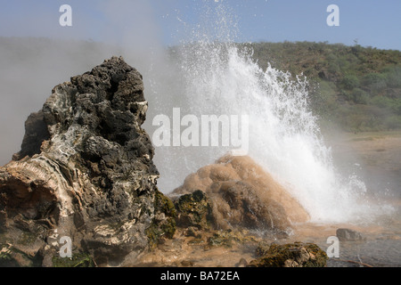 Kenia Sole Bogoria Geysire Serie Afrika Ostafrika Rift Valley Riftvalley Vulkan-Gebiet Natron-See Bogoria-See heißen Quellen Stockfoto