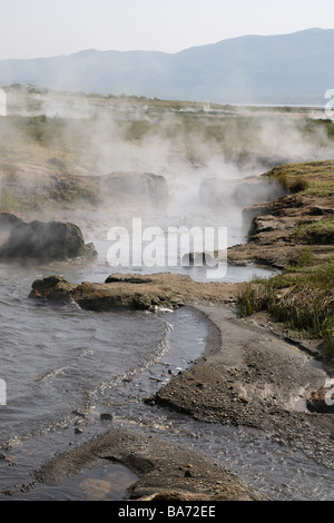 Kenia Lake Bogoria Geysire Dampf-Serie Afrika Ostafrika Rift Valley Riftvalley Vulkan-Gebiet Natron-See Bogoria-See heißen Stockfoto