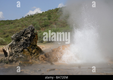 Kenia Sole Bogoria Geysir Serie Afrika Ostafrika Rift Valley Riftvalley Vulkan-Gebiet Natron-See Bogoria-See heißen Quellen Stockfoto