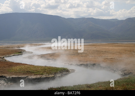 Kenia Sole Bogoria Dampf Serie Afrika Ostafrika Rift Valley Riftvalley Vulkan-Gebiet Natron-See Bogoria-See heißen Quellen Stockfoto