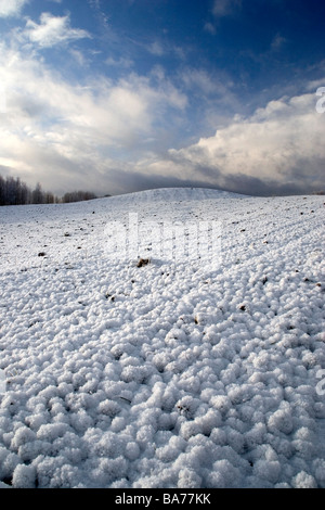 Winterlandschaft in der Nähe von Mragowo, Masurische Seenplatte, Polen Stockfoto