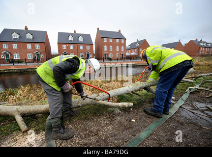 EINE WORK-PARTY AUS DEN COTSWOLD-KANÄLEN VERTRAUEN CLEARING BÄUME AUS DEM LEINPFAD IN STONEHOUSE ALS TEIL DER WIEDERHERSTELLUNG FUNKTIONIERT AUF T Stockfoto