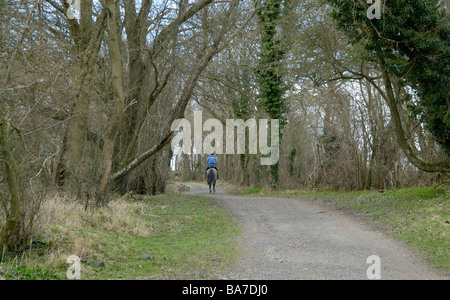 Reiten am South Downs Way, in der Nähe von South Harting, South Downs, West Sussex, England Stockfoto