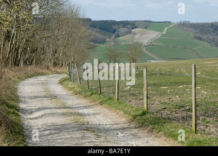 Der South Downs Way Langstrecke-Wanderweg folgt dieser kalkhaltigen Strecke hinunter ins Tal und spannen Sie in der Ferne Stockfoto