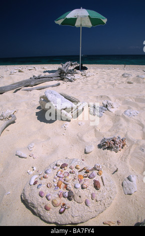 Sandstrand am Wilson Island, Nachbarinsel nach Heron Island, Wilson Island, Great Barrier Reef, Australien Stockfoto