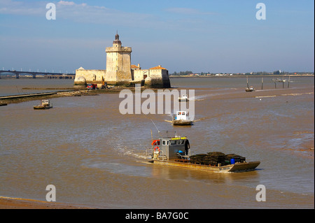 Pointe du Chapus, Le-Chapus, Oyster-Kultur, Fort Louvois, Dept Charente-Maritime, Charente-Vendée, Frankreich, Europa Stockfoto