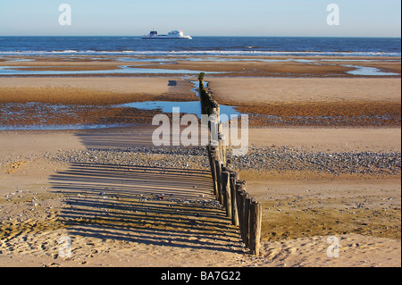 Fähre Seafrance auf dem Kanal in der Nähe von Calais, Dept Pas-de-Calais, Picardie-Nord, Frankreich, Europa Stockfoto