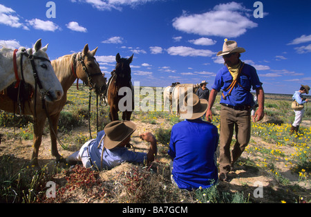 Cowboys erholend während ein Viehtrieb auf Cowarie Station auf der Birdsville Track, South Australia, Australia Stockfoto