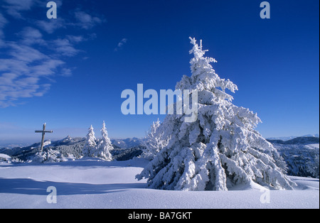 tief verschneite Tannen mit Kreuz auf Gipfel, Hochries, Chiemgau, Upper Bavaria, Bavaria, Germany Stockfoto