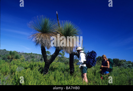 Zwei Wanderer Blick auf eine Grasstree, Leeuwin Naturaliste Nationalpark, Grasbaumarten entlang der Cape to Cape gehen, westlichen Austalia Stockfoto