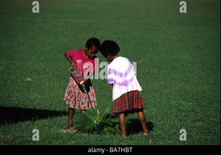Kinder der Schule Ratu Namasi auf Insel Yasawa Bewässerung einer Palme, Yasawa-Gruppe, Fiji, Südsee Stockfoto