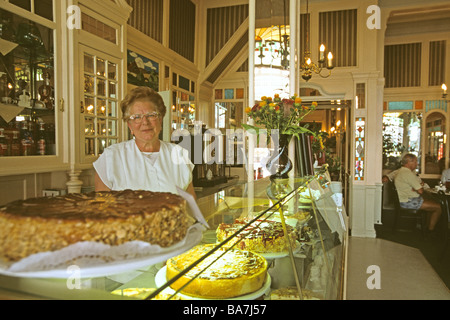 Cafe Wien in Wernigerode, Sachsen-Anhalt, Harz Mountains, Deutschland Stockfoto