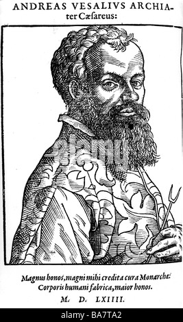 Vesalius, Andreas, 31.12.1514 - 15.10.1564, deutscher Arzt, Porträt, Kupferstich, "Icones, Imagines Virorum Illustrium Literis" von Nikolaus Reusner, Straßburg 1590, Artist's Urheberrecht nicht gelöscht werden Stockfoto